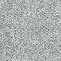 Allegro Ash